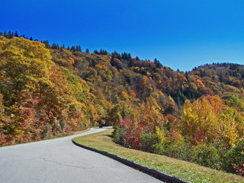 The Blue Ridge Parkway curves into the mountain that is awash in the colors of autumn,