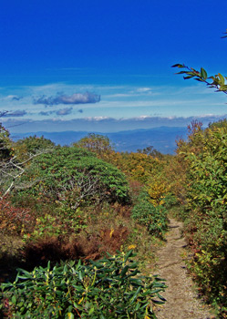 The Craggy Gardens trail leading to Craggy Pinnacle along the Blue Ridge Parkway.