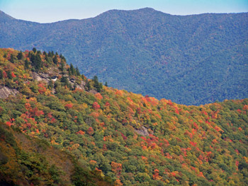 Red and gold trees patchwork across the green forest of the Blue Ridge mountain along the Blue Ridge Parkway in North Carolina.