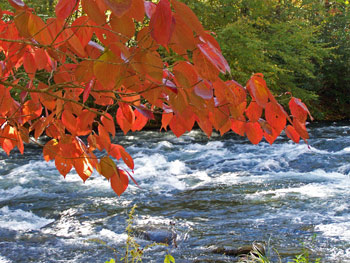 Red autumn leaves frame a shot of a rushing river in the Blue Ridge Mountains in Western North Carolina.