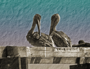 Two brown pelicans sit on an old pier against a blue and purple crumpled paper sky in Bay St Louis, MS.